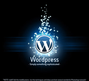 wordpress2